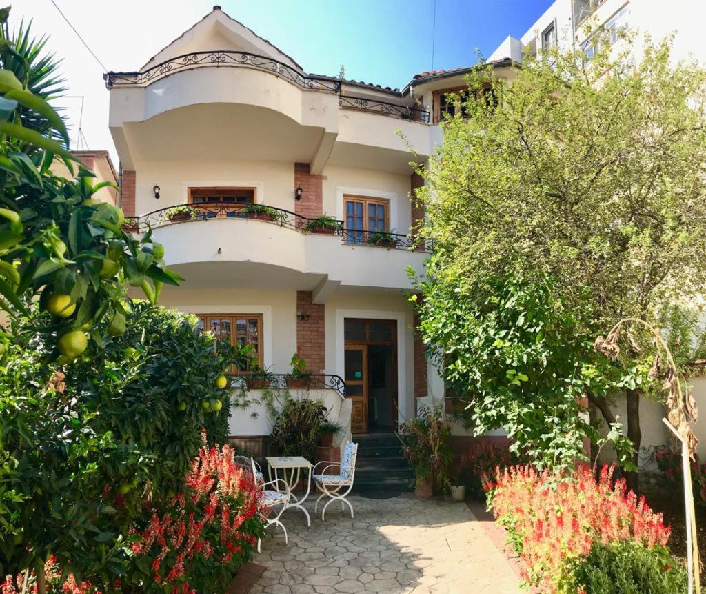 Garden Boutique B&B Tirana Zewnętrze zdjęcie